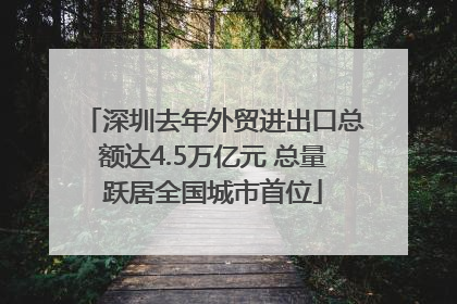 深圳去年外贸进出口总额达4.5万亿元 总量跃居全国城市首位
