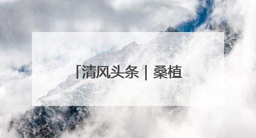 清风头条｜桑植县：精准监督守护群众“养老钱”