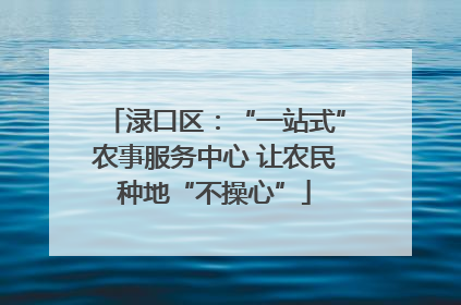 渌口区：“一站式”农事服务中心 让农民种地“不操心”