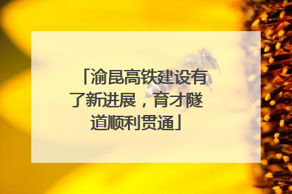 渝昆高铁建设有了新进展，育才隧道顺利贯通