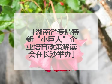 湖南省专精特新“小巨人”企业培育政策解读会在长沙举办