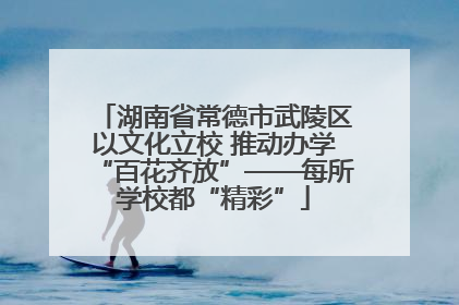 湖南省常德市武陵区以文化立校 推动办学“百花齐放”——每所学校都“精彩”