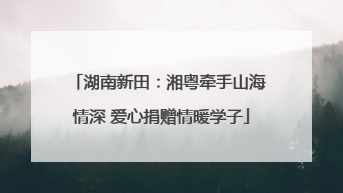 湖南新田：湘粤牵手山海情深 爱心捐赠情暖学子