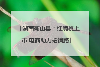 湖南衡山县：红脆桃上市 电商助力拓销路