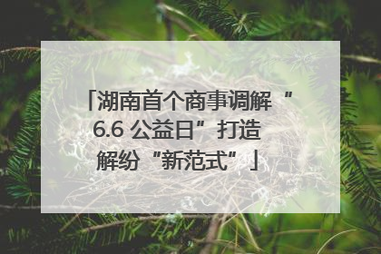 湖南首个商事调解“6.6 公益日”打造解纷“新范式”