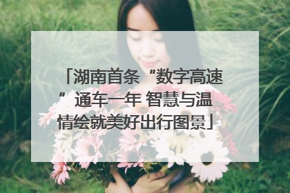湖南首条“数字高速”通车一年 智慧与温情绘就美好出行图景
