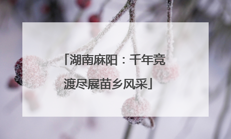 湖南麻阳：千年竞渡尽展苗乡风采
