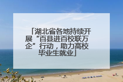 湖北省各地持续开展“百县进百校联万企”行动，助力高校毕业生就业