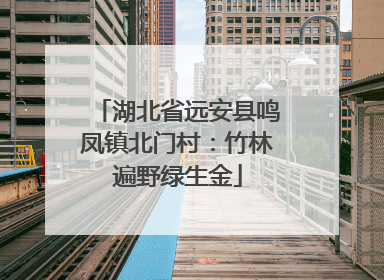 湖北省远安县鸣凤镇北门村：竹林遍野绿生金