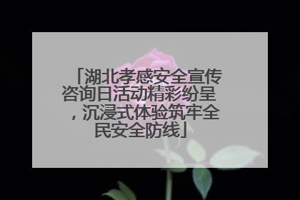 湖北孝感安全宣传咨询日活动精彩纷呈，沉浸式体验筑牢全民安全防线
