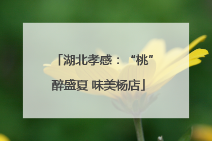 湖北孝感：“桃”醉盛夏 味美杨店