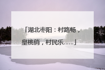 湖北枣阳：村路畅，皇桃俏，村民乐……