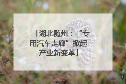 湖北随州：“专用汽车走廊”掀起产业新变革