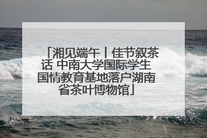 湘见端午丨佳节叙茶话 中南大学国际学生国情教育基地落户湖南省茶叶博物馆
