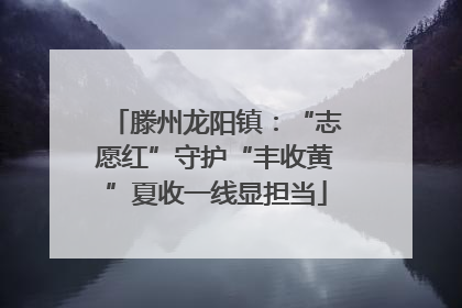 滕州龙阳镇:“志愿红”守护“丰收黄”夏收一线显担当