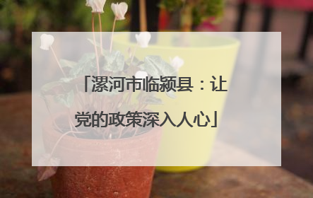 漯河市临颍县：让党的政策深入人心