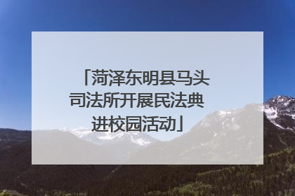 菏泽东明县马头司法所开展民法典进校园活动