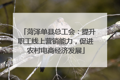 菏泽单县总工会：提升职工线上营销能力，促进农村电商经济发展