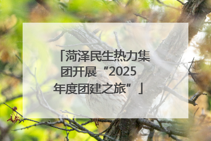 菏泽民生热力集团开展“2025年度团建之旅”