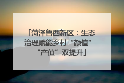 菏泽鲁西新区：生态治理赋能乡村“颜值”“产值”双提升