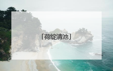荷绽清池