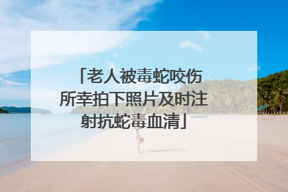 老人被毒蛇咬伤 所幸拍下照片及时注射抗蛇毒血清