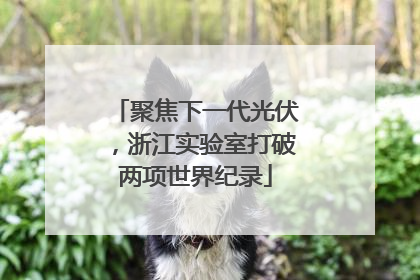 聚焦下一代光伏，浙江实验室打破两项世界纪录