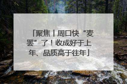 聚焦丨周口快“麦罢”了！收成好于上年、品质高于往年