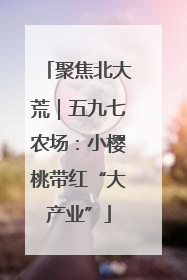 聚焦北大荒｜五九七农场：小樱桃带红“大产业”
