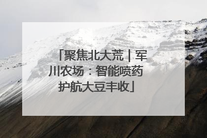 聚焦北大荒｜军川农场：智能喷药护航大豆丰收
