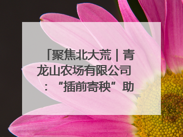 聚焦北大荒｜青龙山农场有限公司：“插前寄秧”助力农业节本增效