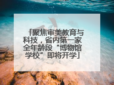 聚焦审美教育与科技，省内第一家全年龄段“博物馆学校”即将开学