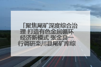 聚焦尾矿深度综合治理 打造有色金属循环经济新模式 张金良一行调研栾川县尾矿库综合治理工作