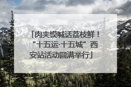 肉夹馍喊话荔枝鲜！“十五运·十五城”西安站活动圆满举行