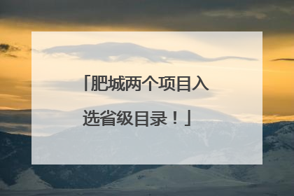 肥城两个项目入选省级目录！
