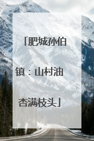 肥城孙伯镇：山村油杏满枝头