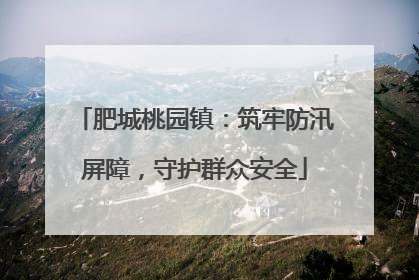 肥城桃园镇：筑牢防汛屏障，守护群众安全