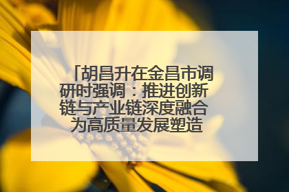 胡昌升在金昌市调研时强调：推进创新链与产业链深度融合 为高质量发展塑造新动能新优势