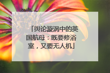 舆论漩涡中的英国航母：既要修浴室，又要无人机