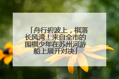 舟行碧波上，棋落长风湾！来自全市的围棋少年在苏州河游船上展开对决