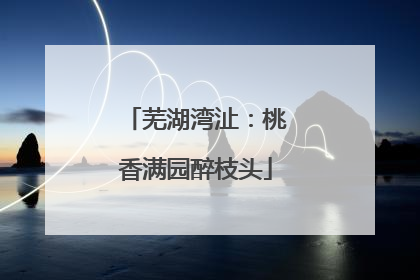 芜湖湾沚：桃香满园醉枝头