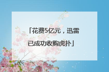 花费5亿元，迅雷已成功收购虎扑