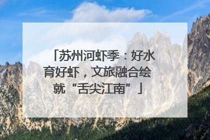 苏州河虾季：好水育好虾，文旅融合绘就“舌尖江南”