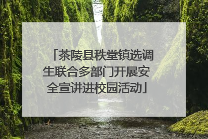 茶陵县秩堂镇选调生联合多部门开展安全宣讲进校园活动
