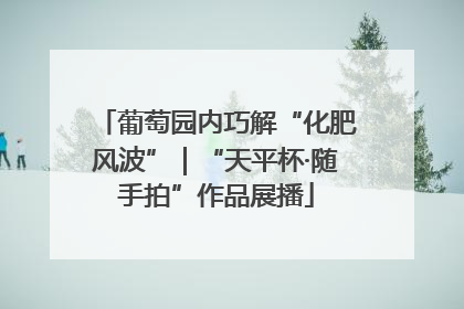 葡萄园内巧解“化肥风波”｜“天平杯·随手拍”作品展播