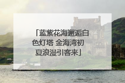 蓝紫花海邂逅白色灯塔 金海湾初夏浪漫引客来