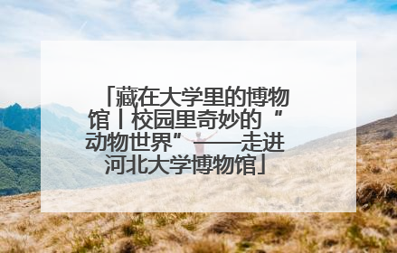 藏在大学里的博物馆丨校园里奇妙的“动物世界”——走进河北大学博物馆