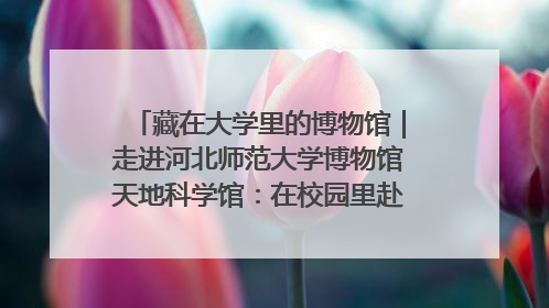 藏在大学里的博物馆｜走进河北师范大学博物馆天地科学馆：在校园里赴一场“宇宙之约”