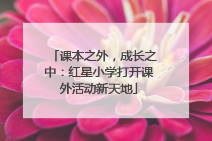 课本之外，成长之中：红星小学打开课外活动新天地