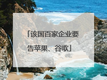 该国百家企业要告苹果、谷歌